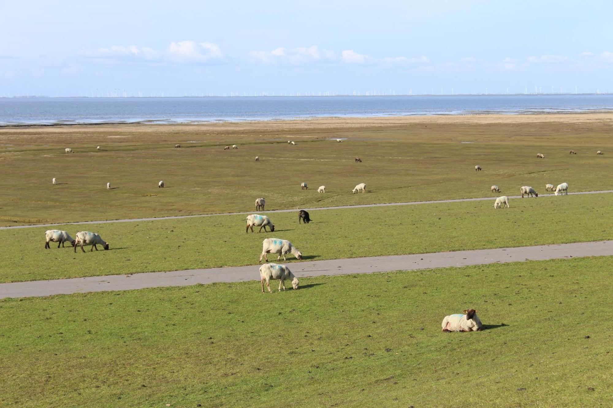 Nordsee-Paradies Barlt Exterior photo